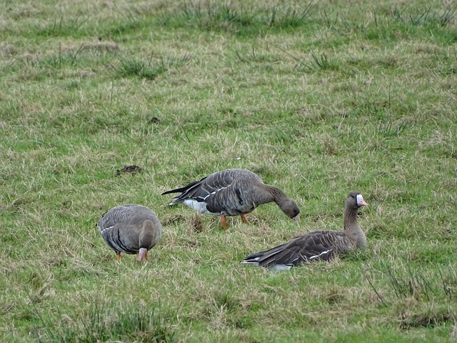 沿海城市 沿海城市