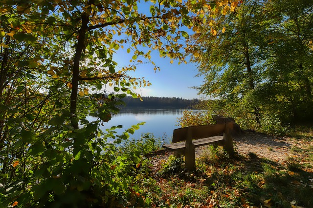 职业足球中 职业足球中