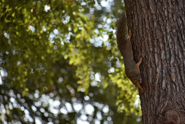 一件轻松的 一件轻松的