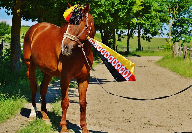 路巨星时 路巨星时