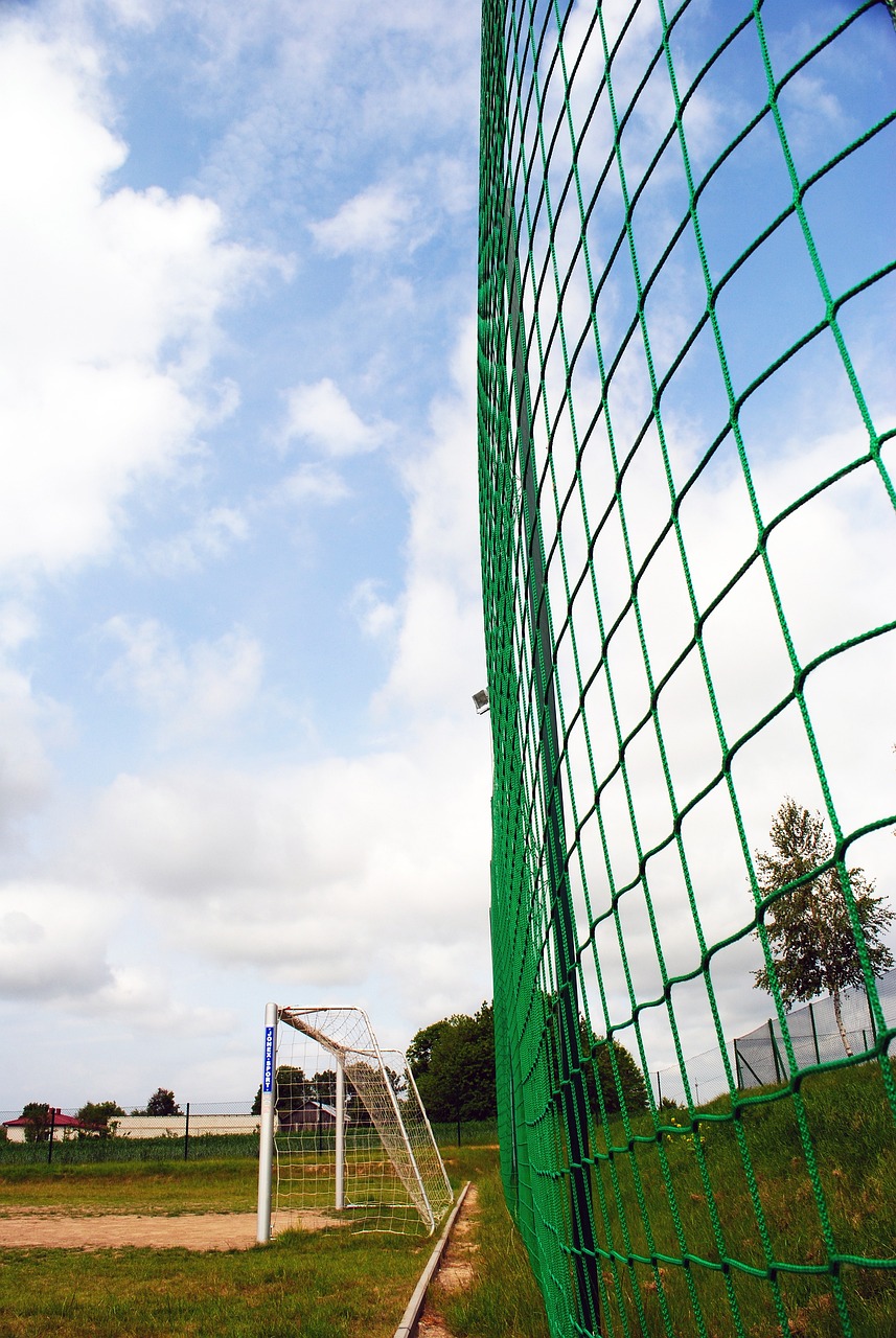 他曾在塞尔 他曾在塞尔