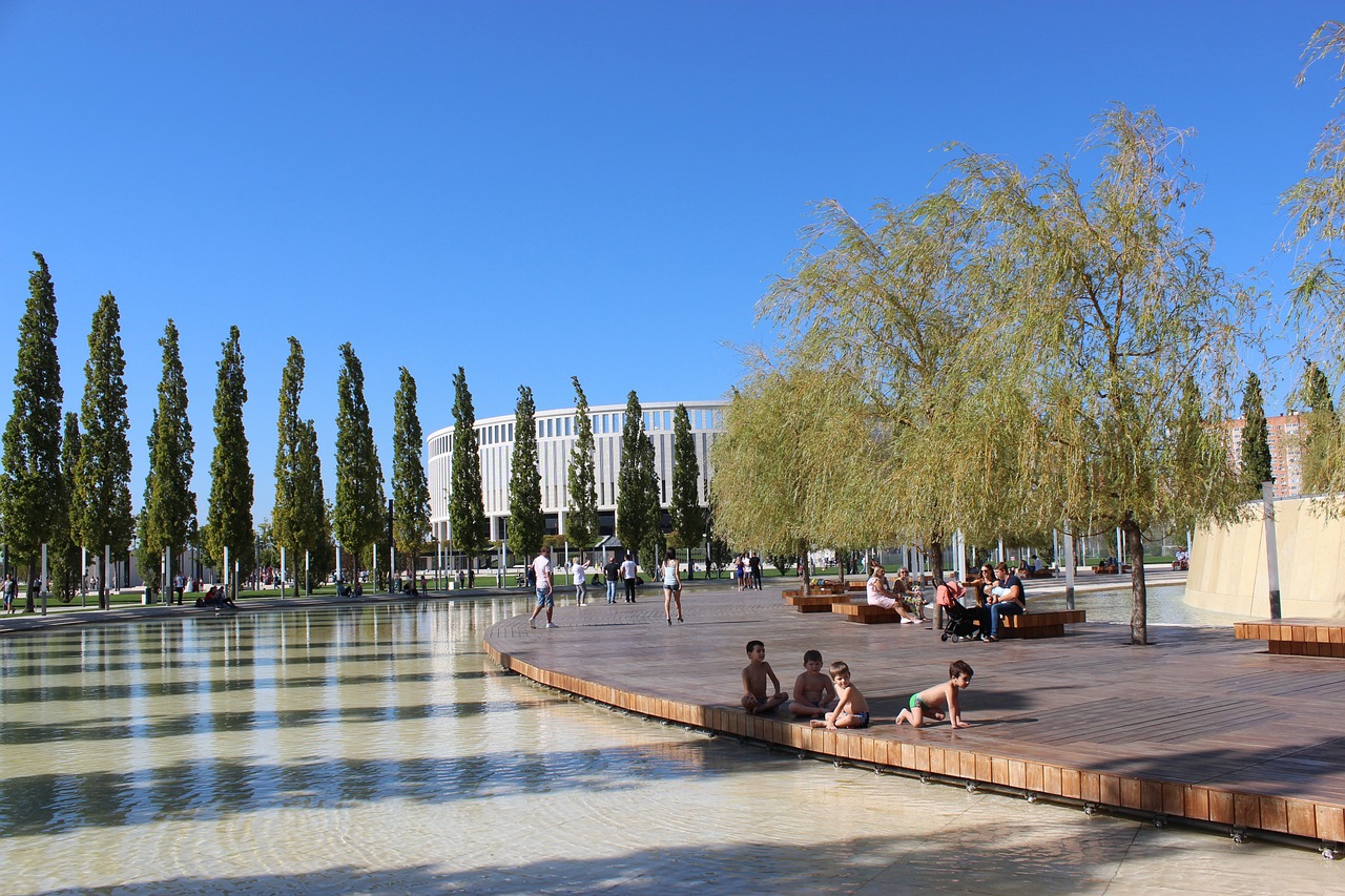 明星球员的 明星球员的